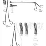 Biopsy Forceps